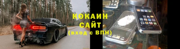 таблы Осинники