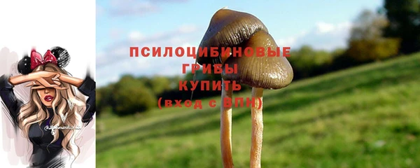 МДМА Осташков
