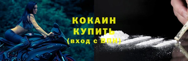 таблы Осинники