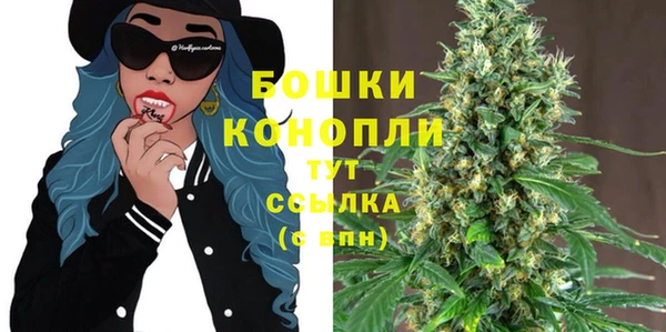 таблы Осинники