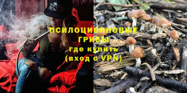 таблы Осинники